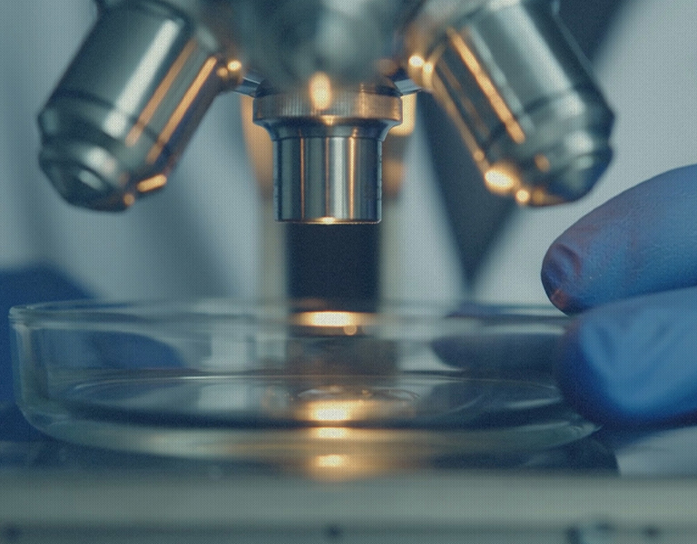 Empowering Every Research Journey Mobile